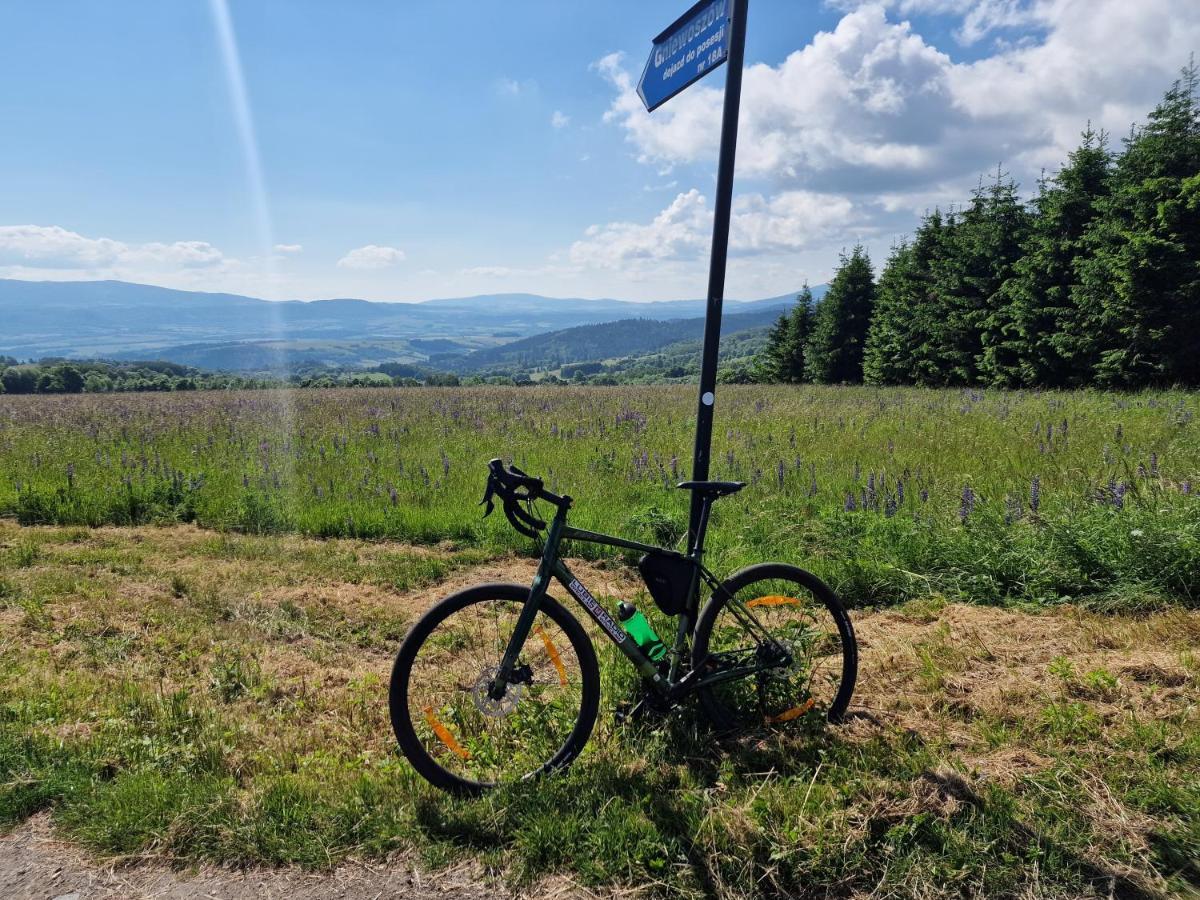 All Season Klimatyzowany Dom Przy Szlaku Z Prywatnym Tarasem I Widokiem Na Gory Orlickie - Sudety Sauna&Jacuzzi, Skalne Miasto